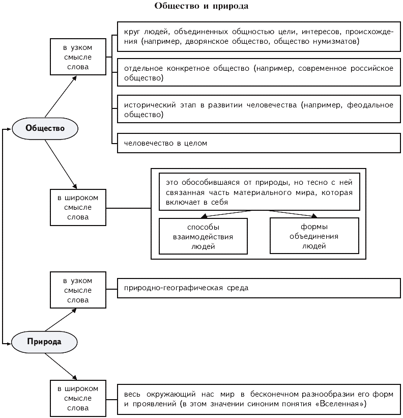 Обществознание схема человек