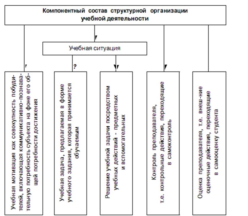 Структурные элементы учебной деятельности. Структура учебной деятельности по эльконину схема. Внешняя структура учебной деятельности схема. Компонентный состав структуры учебной деятельности.