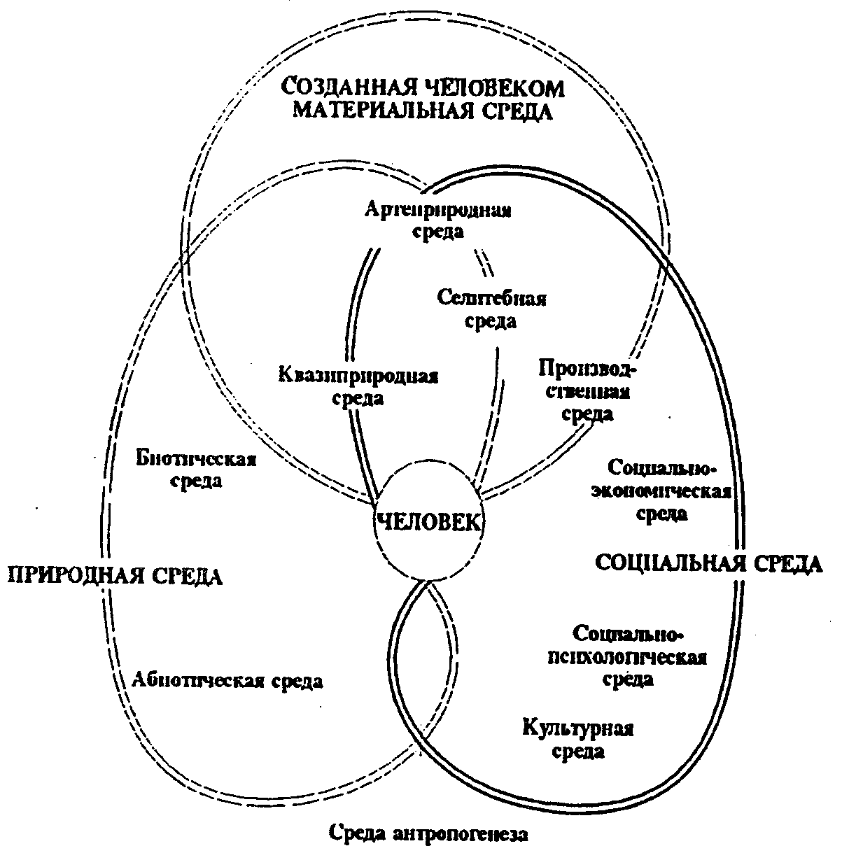 Человек как система схема