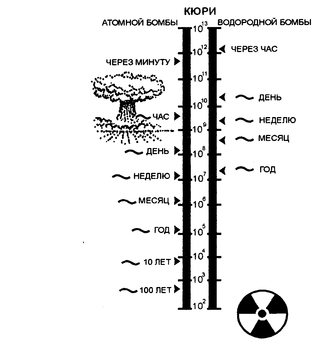 Гриб температура. Диаметр взрыва атомной бомбы. Гриб ядерного взрыва и водородного. Сравнение ядерного гриба. Сравнение грибов от ядерных взрывов.