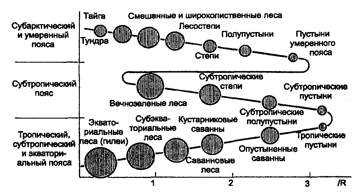 Закономерность зональность. Концепция биографической зональности Григорьева-Будыко. Периодический закон зональности Григорьева Будыко. Закон географической зональности Григорьева Будыко. Периодический закон географической зональности.