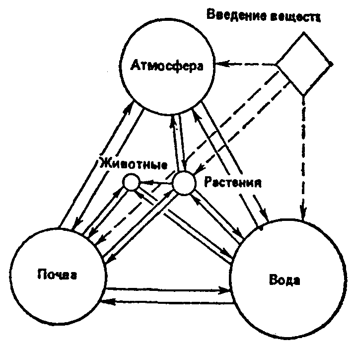 Влияние биосферы на человека схема