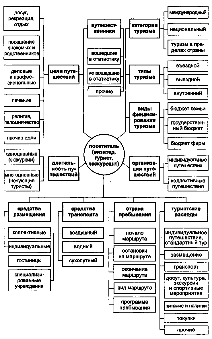 Виды туризма схема