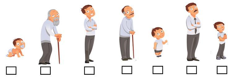 Периоды жизни человека картинки для детей