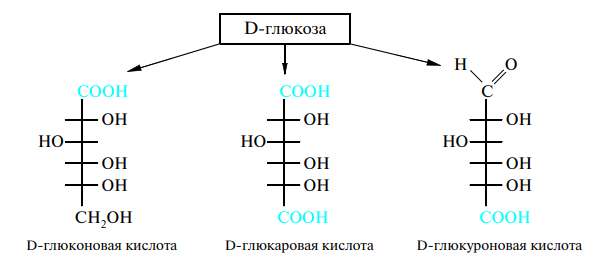 Кислоты глюкозы. Окисление Глюкозы гликаровая. Окисление Глюкозы глюконовая кислота. Синтез глюконовой кислоты. Окисление Глюкозы до глюконовой кислоты.