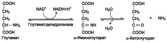 http://www.biochemistry.ru/biohimija_severina/img/b5873p473-i1.jpg