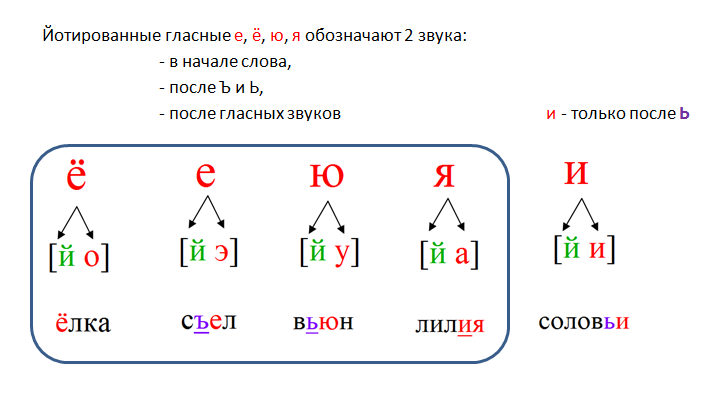 Транскрипция слов русский язык 1 класс. Гласные буквы обозначающие 2 звука. Гласные обозначают 2 звука схема. Гласные обозначающие 2 звука 1 класс. Гласные второго ряда обозначают 2 звука.