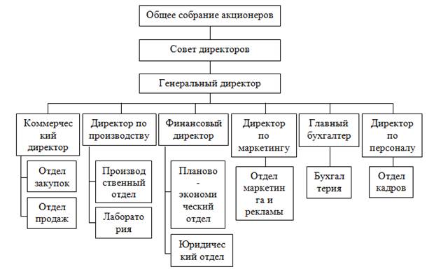 Структура управления ооо схема