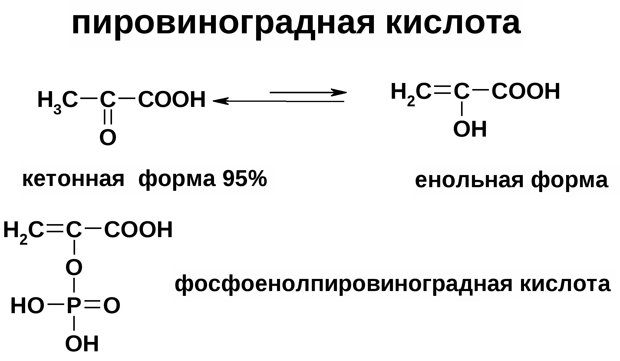 Пвк образуется в результате. Кето-енольная таутомерия пировиноградной кислоты реакция. Пировиноградная кислота и фосфорная кислота реакция. Формула пировиноградной кислоты ПВК. Пировиноградная кислота строение.