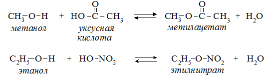 Гидролиз метилацетата реакция