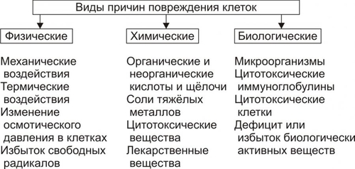 Виды причин. Факторы вызывающие повреждение клетки. Классификация химических факторов повреждения клетки. Химические факторы повреждения клетки. Физические повреждения.