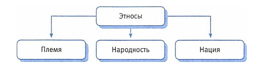 Запишите слово пропущенное в схеме виды этносов