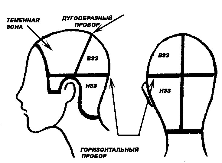 Схема деления волос на участки при их окраске