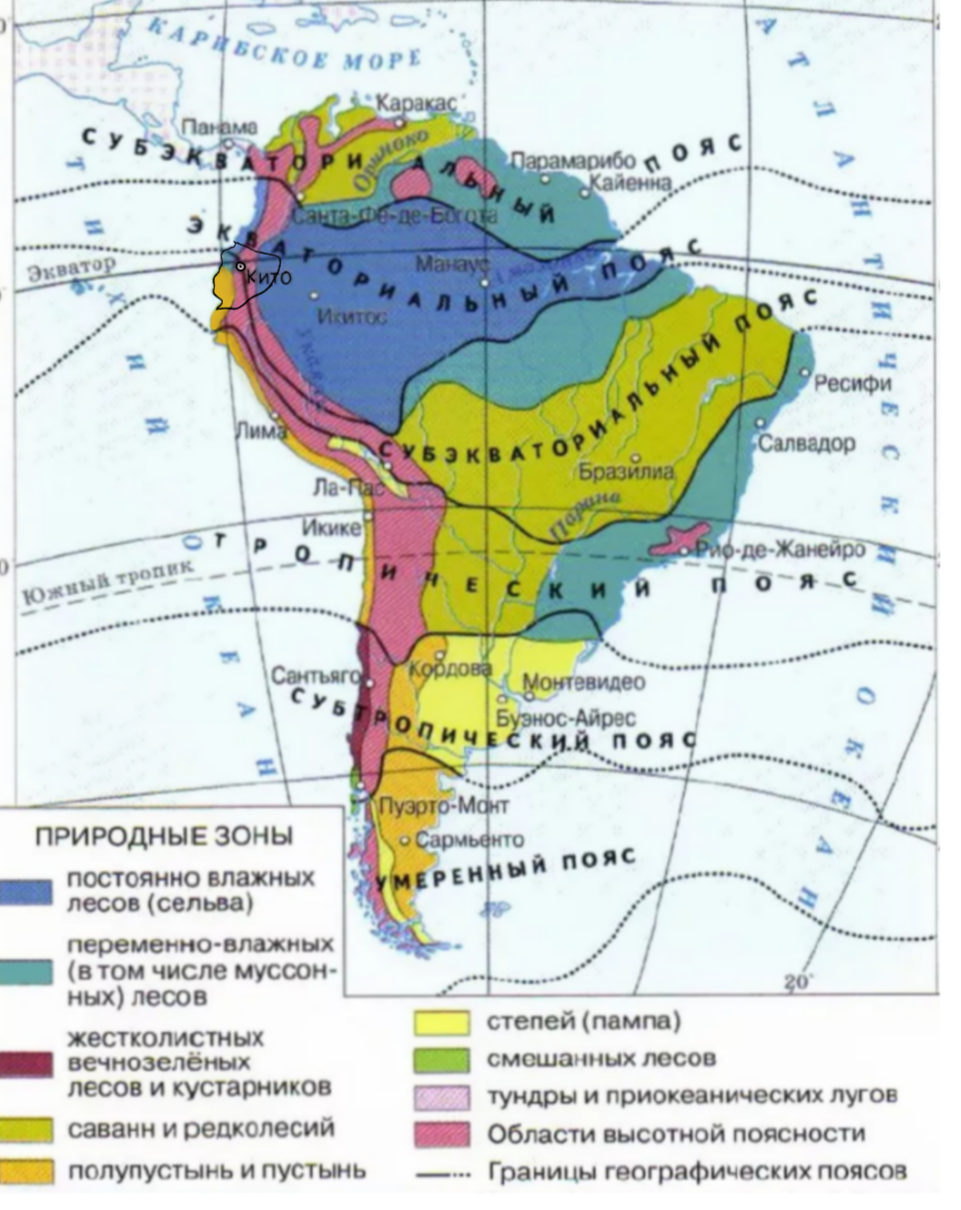 В каких природных зонах находится северная америка. Карта природных зон Южной Америки. Карта природных зон Южной Америки 7 класс география. Карта природныхзон юной Америки. Карта природных зон Южной Америки со странами.