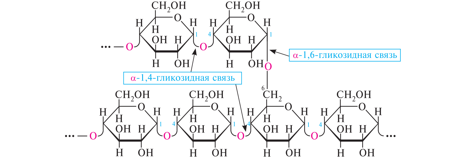 Связь 4 гликозидная. Строение гликогена формула. Гликоген формула и структура. Гликоген структурная формула. Гликоген структурная формула фрагмента.