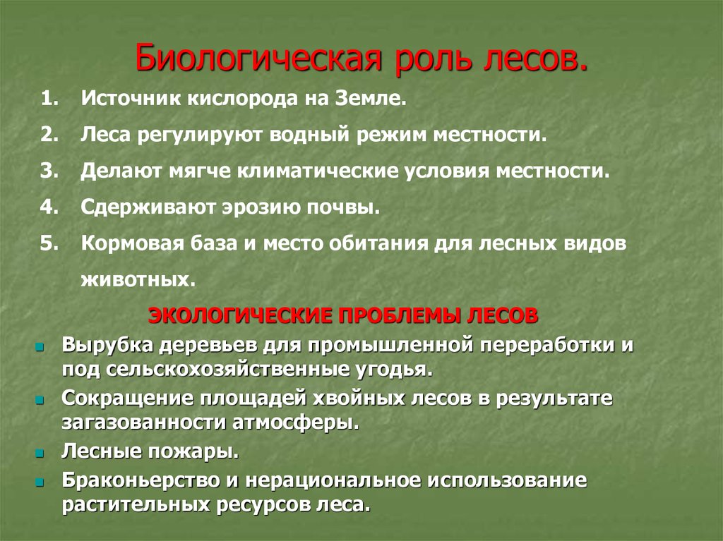 Роль леса. Экологические функции лесов. Экологическая роль леса. Функции леса в природе. Биологическая роль древесины.