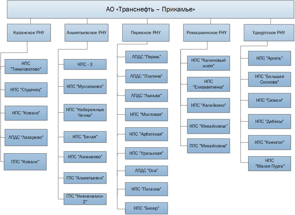 Структура н н