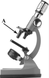 Деталь микроскопа на букву а. Детали микроскопа. Детали микроскопа 5. Детали микроскопа 2021. Устройство цифрового микроскопа.