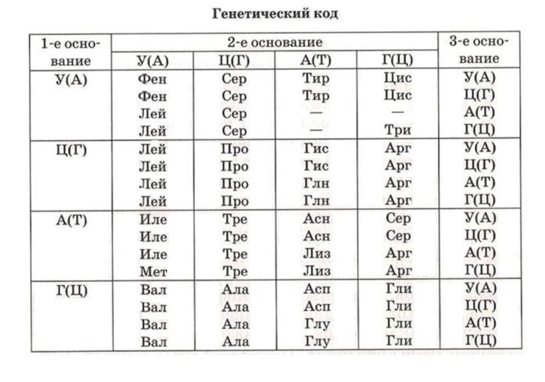 Сколько нуклеотидов кодируют фрагмент полипептида 257. Таблица генетического кода ИРНК. Таблица генетический код биология. Таблица генетического кода ТРНК. Таблица генетических кодов биология.