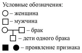 По изображенной на рисунке родословной определите вероятность в процентах рождения ребенка