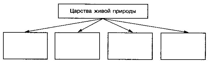 Царства живой природы 2