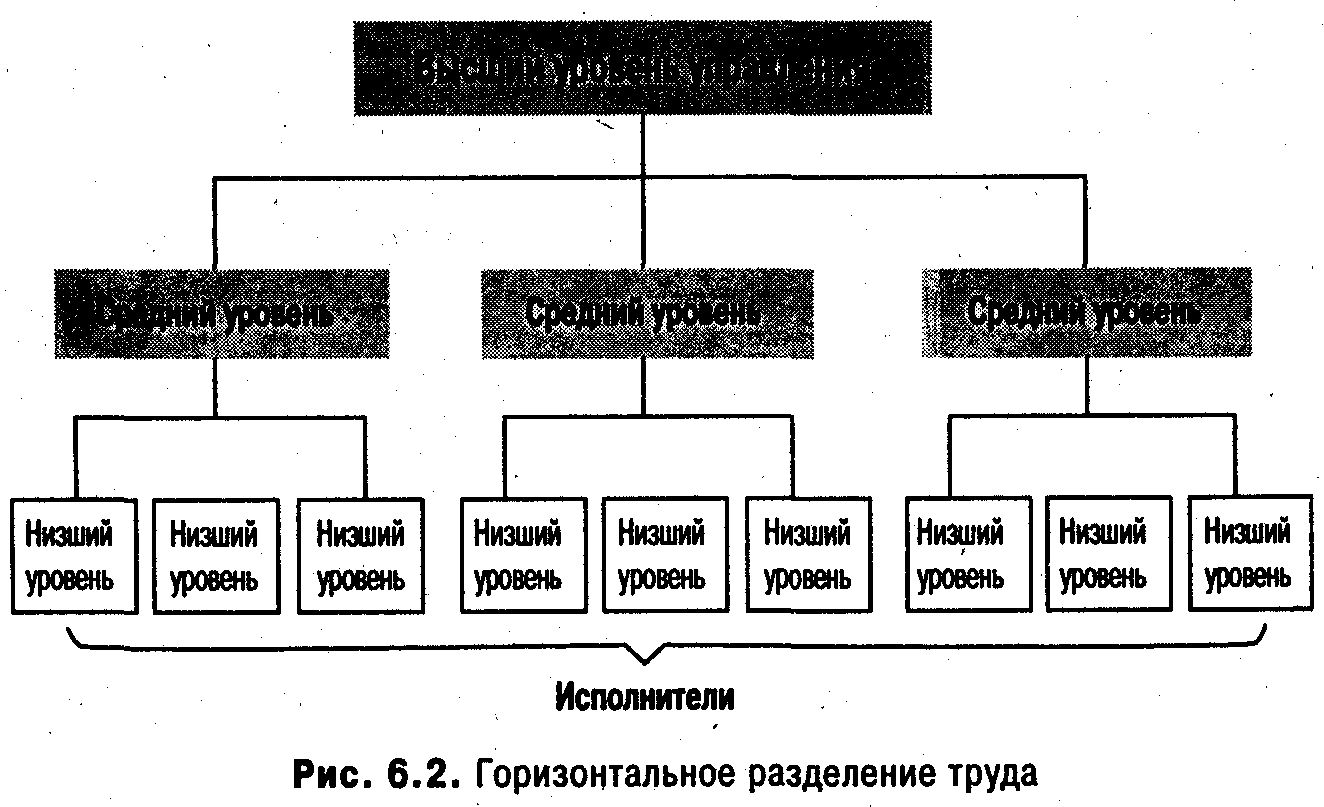 Горизонтальное разделение. Горизонтальное Разделение труда схема. Вертикальное Разделение труда схема. Схема горизонтального разделения труда в организации. Горизонтальное Разделение управленческого труда.