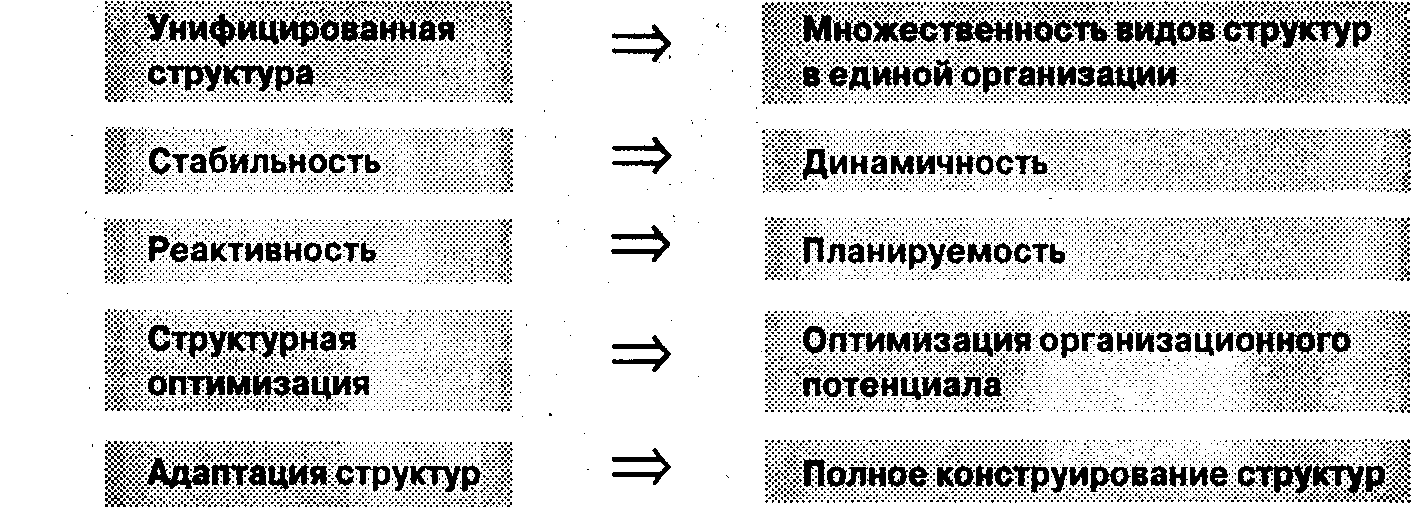 Руководитель высшего ранга. Стабильность структуры. Унифицированная структура это. Планируемость это.