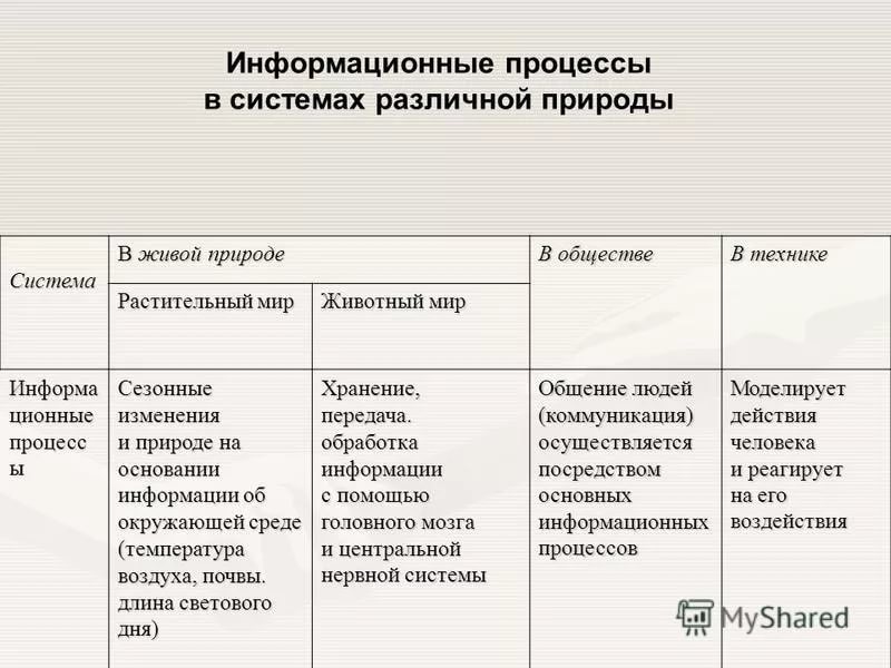 Таблица хранения информации. Информационные процессы примеры. Информационные процессы таблица. Примеры информационных процессов в природе. Примеры информационных процессов в обществе.