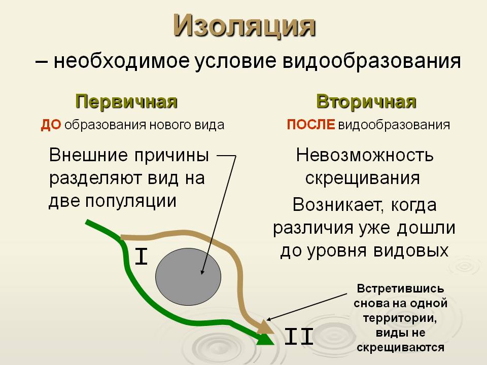 Факторы изоляции