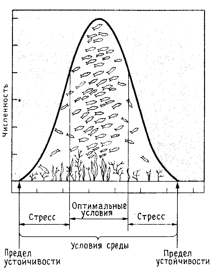 Закон воздействия экологических факторов. Закон оптимума и пессимума. Закон оптимума схема. Кривая оптимума экология. Зона оптимума зона пессимума.