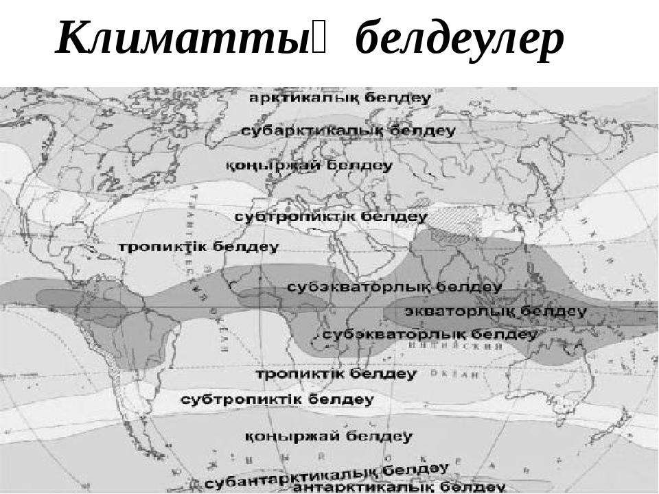 Классификация алисова карта