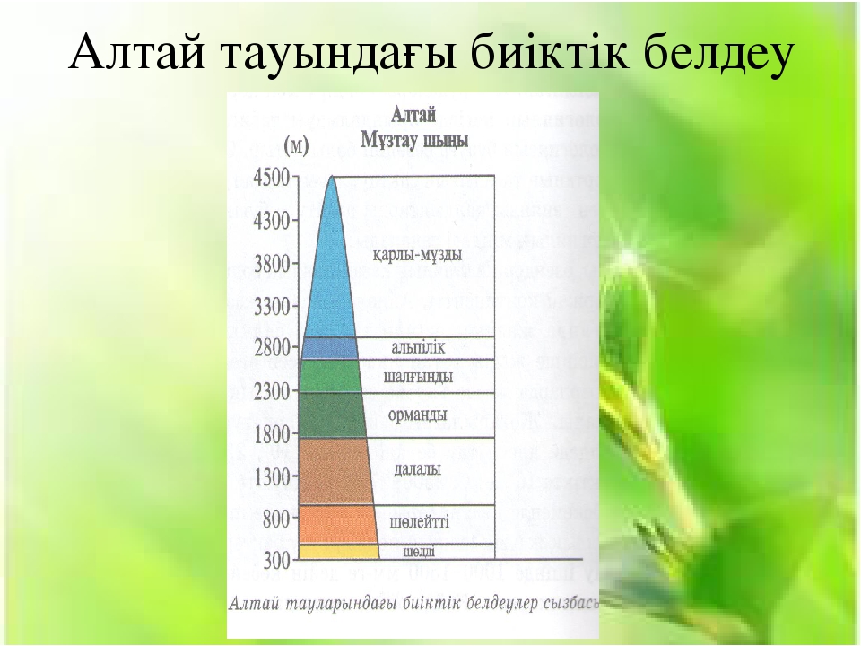 Табиғи аумақтық кешендердің түрлері 7 сынып. График Алатау. Табиғат зонасы дегеніміз не. Табиғат кешені дегеніміз не. Высотные пояса Килиманджаро.