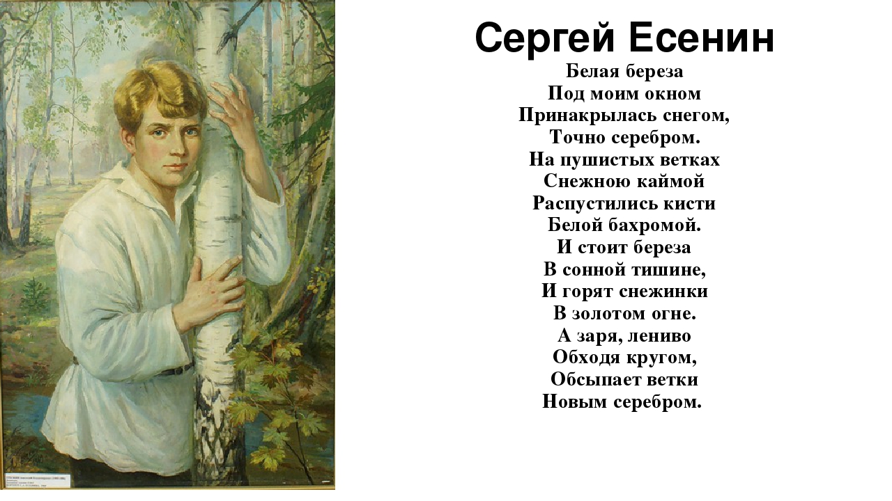 Минус песни две березки. Стих Сергея Есенина белая береза.