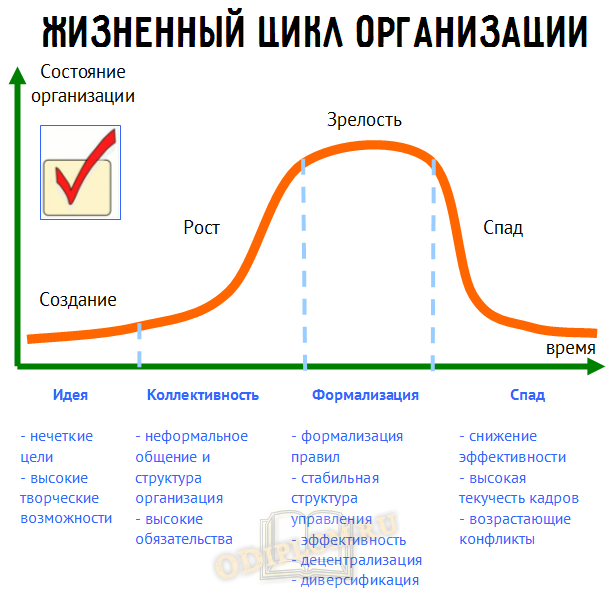 Организация циклов c