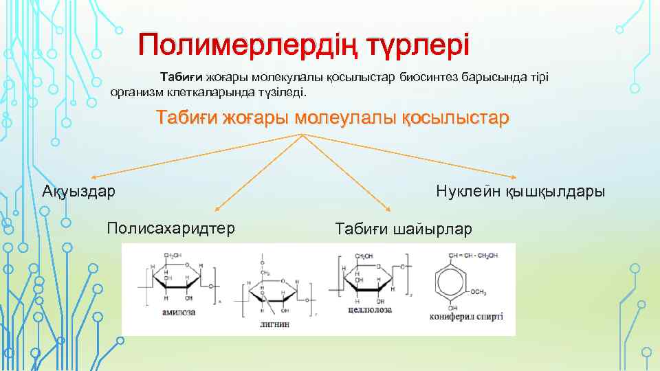 Полимерлер туралы презентация