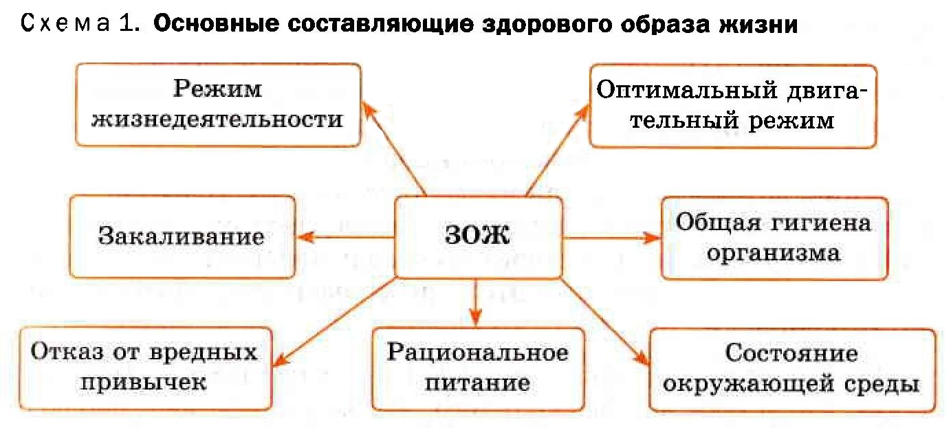 Дополните схему об основных элементах здорового образа жизни таблица ответы