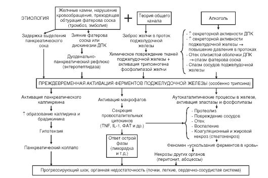 Патогенез острого панкреатита схема