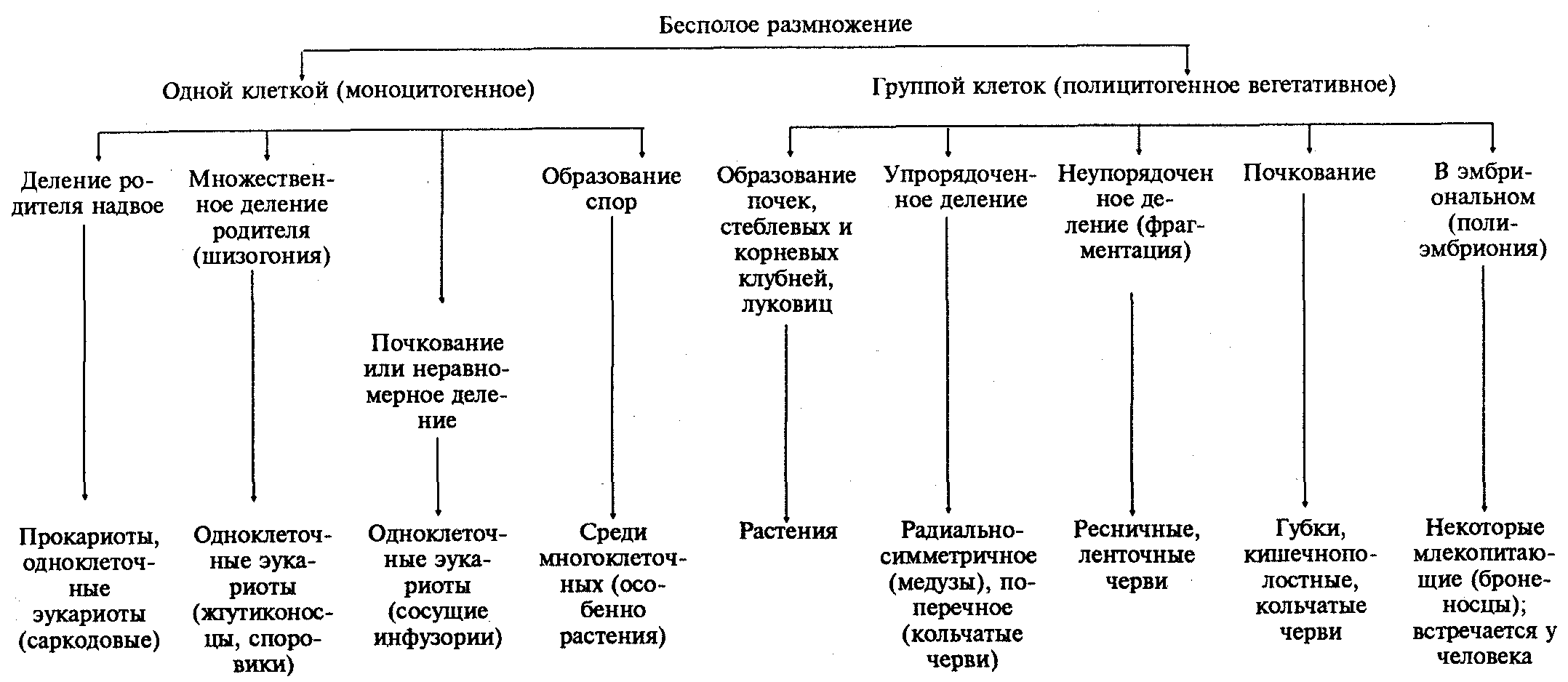 Презентация по биологии 9 класс размножение организмов пасечник