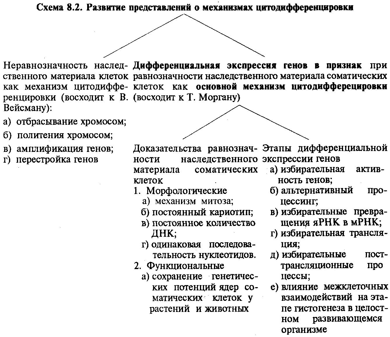 Приведите примеры разнообразных биотических связей обусловленных процессами указанными на схеме