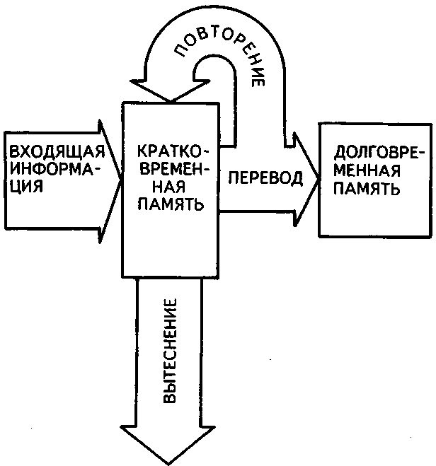 Блок схема память психология