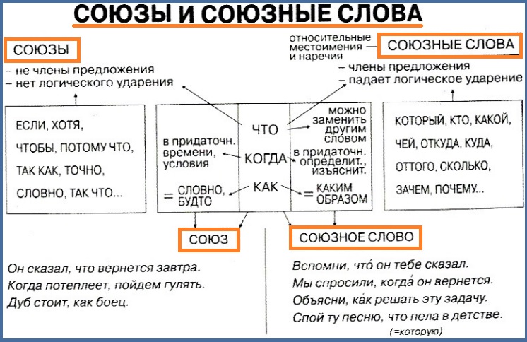 Отличие схемы от таблицы