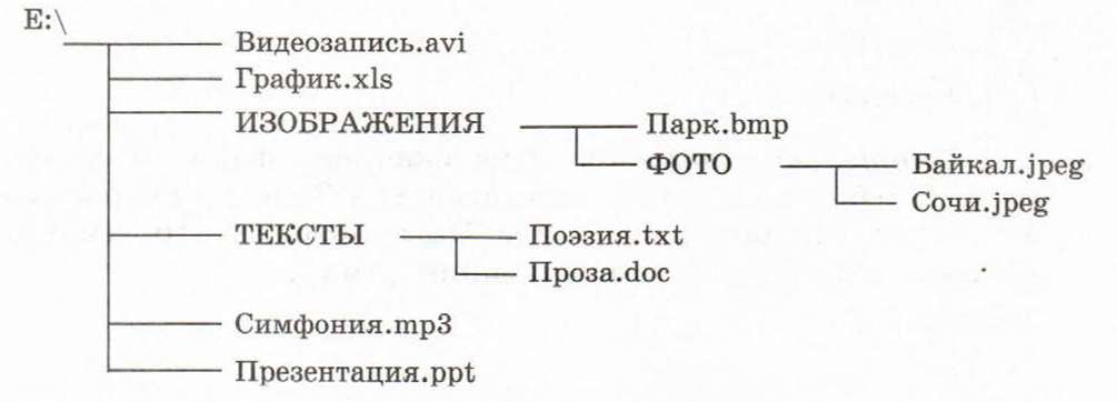 Система изображение текст. Ниже представлена файловая структура диска е. Запишите полное имя файла Сочи.jpeg. Запишите полное имя файла Байкал.jpeg. Полное имя файла Байкал.jpeg.