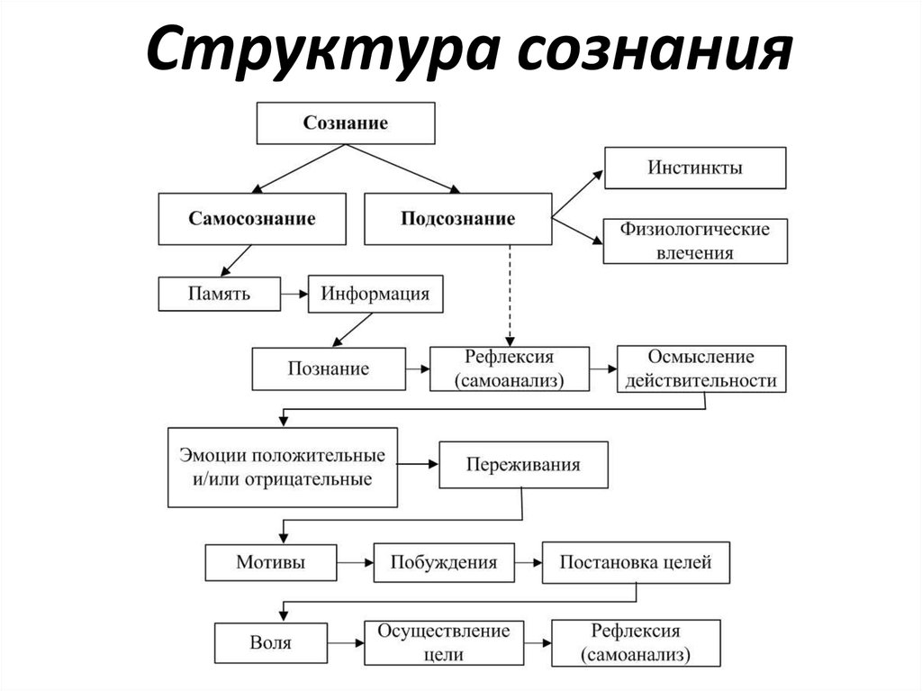 Составьте структурную схему