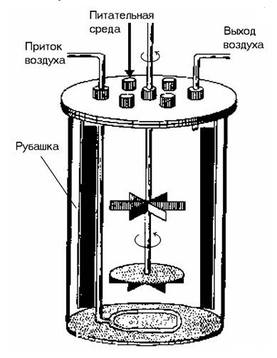 Особенности ферментационного оборудования и отдельных элементов технологических схем