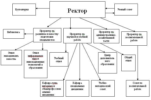 Структура вуза схема управления