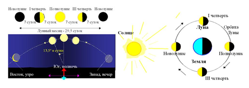Посмотрите на рисунок и объясните по какой причине луна изменяет направление