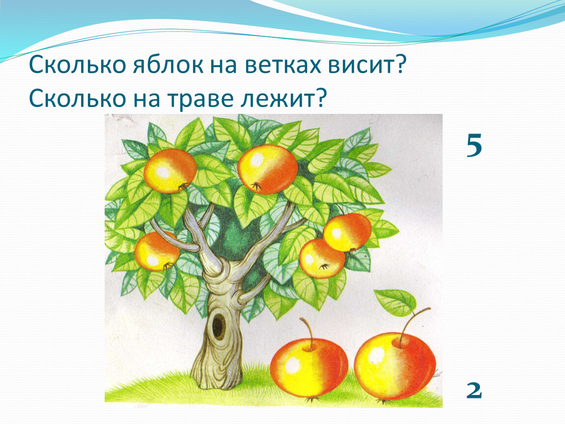 Осталось три яблока. Математические яблочки для детей. Презентация о яблоках для дошкольников. Яблоня с заданиями по математике для дошкольников. Сколько яблок.