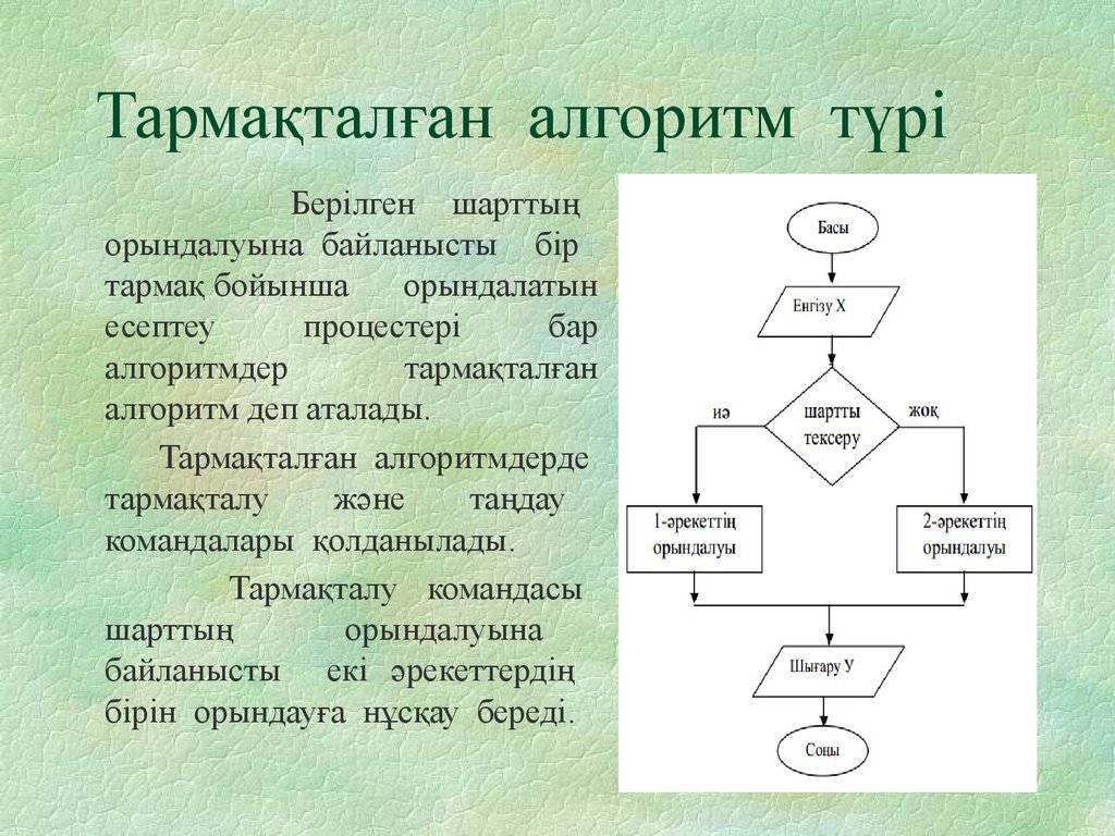 Тармақталған алгоритмдерді программалау презентация