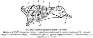 Схема разделки телятины