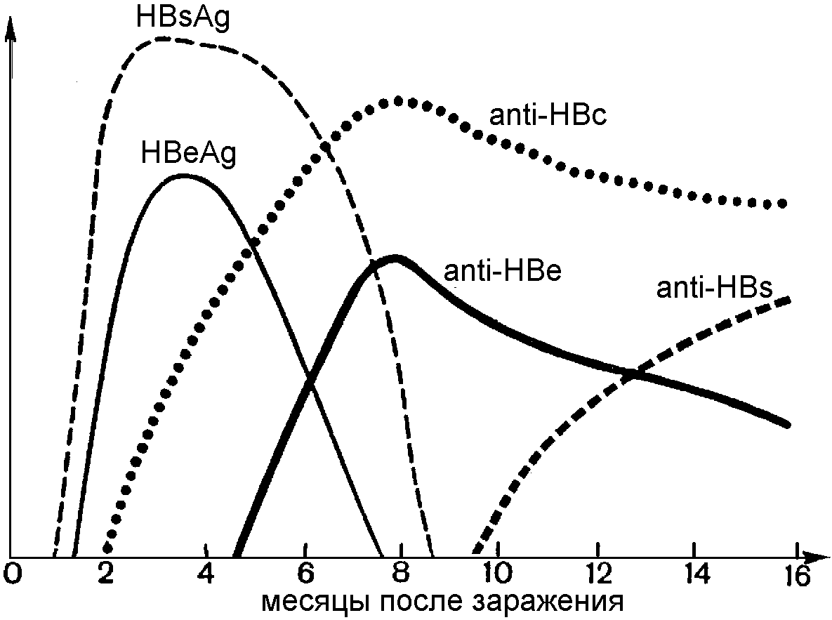 Гепатит b hbsag. HBEAG отрицательный. HBE антиген вируса гепатита в. Поверхностный антиген вируса гепатита в HBSAG.